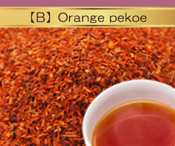 オレンジペコー